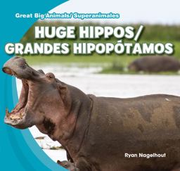Huge Hippos / Grandes Hipopótamos