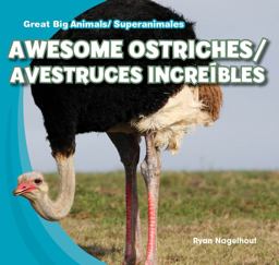 Awesome Ostriches / Avestruces Increíbles