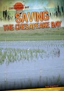 Saving the Chesapeake Bay