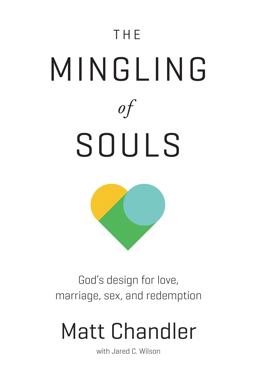 Mingling of Souls God's Design for Love, Marriage, Sex, and Redemption  9781434706867 Front Cover