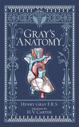 B&amp;N Grays Anatomy Leather Classic - O/P 15th 9781435114937 Front Cover