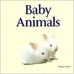 Baby Animals