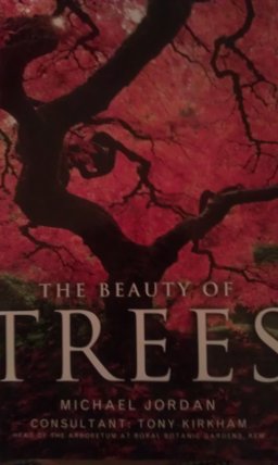 The Beauty of Trees