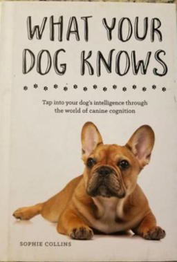 What Your Dog Knows Tap into Your Dog's Intelligence Through the World of Canine Cognition  9781435165663 Front Cover