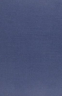 The Story of the Champions of the Round Table