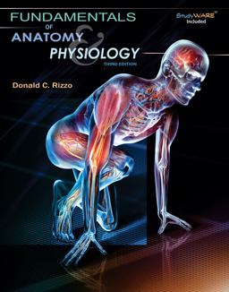 Study Guide for Rizzo's Fundamentals of Anatomy and Physiology, 3rd 3rd 9781435438736 Front Cover