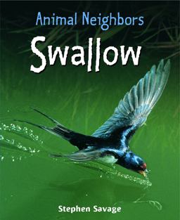 Swallow