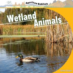 Wetland Animals