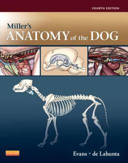 Miller's Anatomy of the Dog 4th 9781437708127 Front Cover