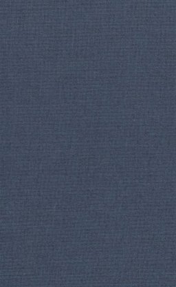 Twenty Years at Hull-House