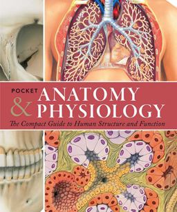 Pocket Anatomy and Physiology