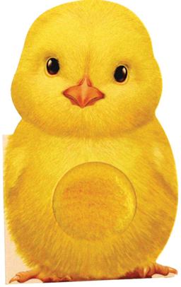 Furry Chick  9781438050126 Front Cover