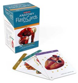 Anatomy Flash Cards 3rd 9781438077178 Front Cover