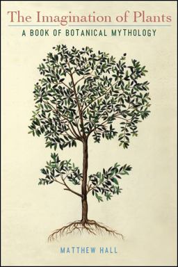 Imagination of Plants the P