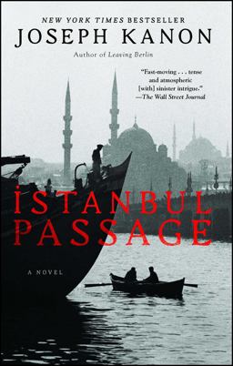 Istanbul Passage A Novel  9781439156438 Front Cover