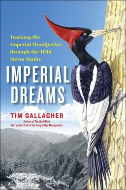 Imperial Dreams Tracking the Imperial Woodpecker Through the Wild Sierra Madre  9781439191521 Front Cover