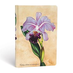Brazilian Orchid Mini Unlined Hardcover Journal, 176pg, 85GSM by Paperblanks (Painted Botanicals)  9781439735732 Front Cover