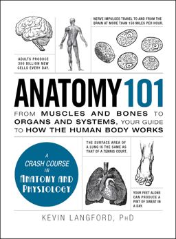 Anatomy 101 From Muscles and Bones to Organs and Systems, Your Guide to How the Human Body Works  9781440584268 Front Cover