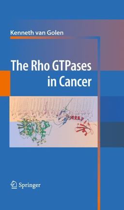 Rho GTPases in Cancer  9781441911100 Front Cover