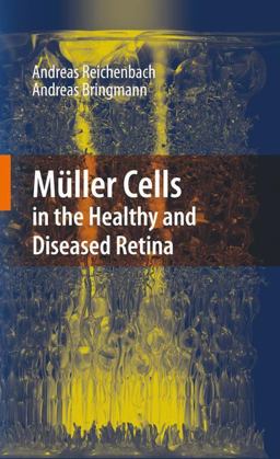 Mï¿½ller Cells in the Healthy and Diseased Retina  9781441916716 Front Cover