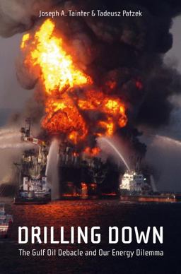 Drilling Down The Gulf Oil Debacle and Our Energy Dilemma  9781441976765 Front Cover