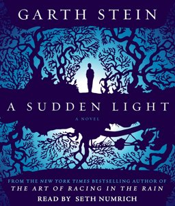 A Sudden Light:  9781442353237 Front Cover
