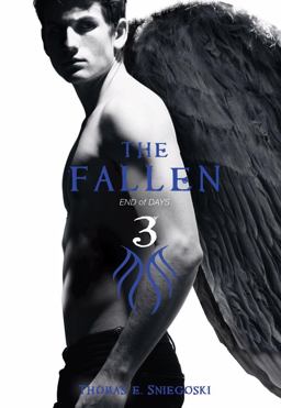 The Fallen 3