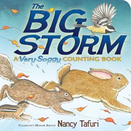 Big Storm A Very Soggy Counting Book  9781442481794 Front Cover