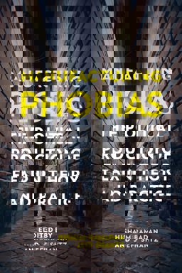 Manufacturing Phobias The Political Production of Fear in Theory and Practice  9781442628847 Front Cover