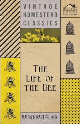 The Life of the Bee