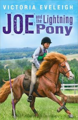 Joe and the Lightning Pony A Boy and His Horses  9781444005929 Front Cover
