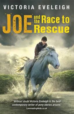 Joe and the Race to Rescue A Boy and His Horses  9781444007596 Front Cover