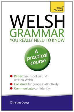 Welsh Grammar You Really Need to Know 3rd 9781444189636 Front Cover