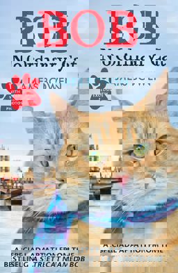 Bob No Ordinary Cat  9781444764901 Front Cover