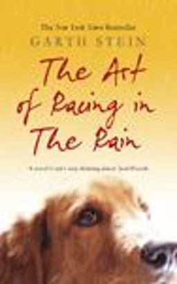 The Art of Racing in the Rain