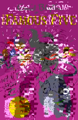 Famous Five Colour Reads: When Timmy Chased the Cat  9781444916287 Front Cover