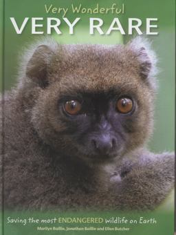 Very Wonderful Very Rare