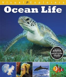 Ocean Life  9781445137438 Front Cover