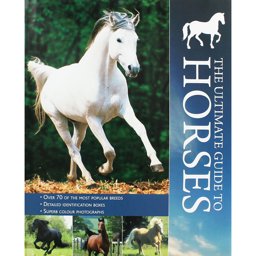 The Ultimate Guide to Horses The Ultimate Guide to Horses