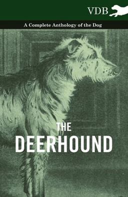 The Deerhound - a Complete Anthology of the Dog -