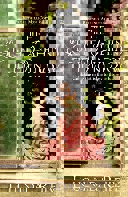 Light Behind the Window  9781447218425 Front Cover