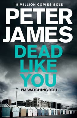 Dead Like You: a Roy Grace Novel 6