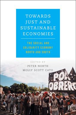 Towards Just and Sustainable Economies The Social and Solidarity Economy North and South  9781447327226 Front Cover