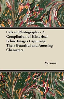 Cats in Photography - a Compilation of Historical Feline Images Capturing Their Beautiful and Amusing Characters