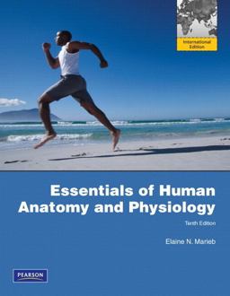 Essentials of Human Anatomy and Physiology Essentials of Human Anatomy and Physiology