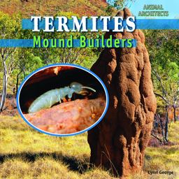 Termites