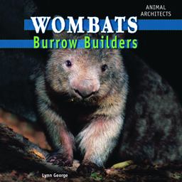 Wombats