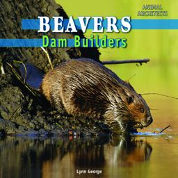 Beavers