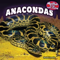 Anacondas