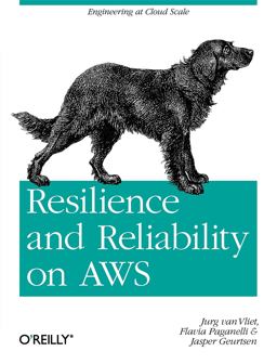Resilience and Reliability on AWS Engineering at Cloud Scale  9781449339197 Front Cover